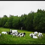 Malmedy Luxe Retreat &