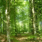 Malmedy Luxe Retreat & 펜션 *