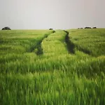 Malmedy Luxe Retreat & *