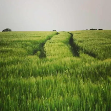 Malmedy Luxe Retreat & *