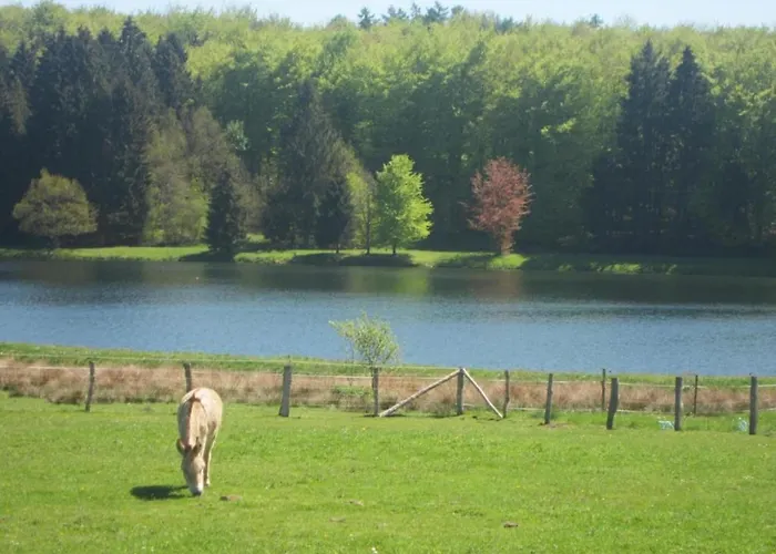 Vakantiehuis Malmedy Luxe Retreat &