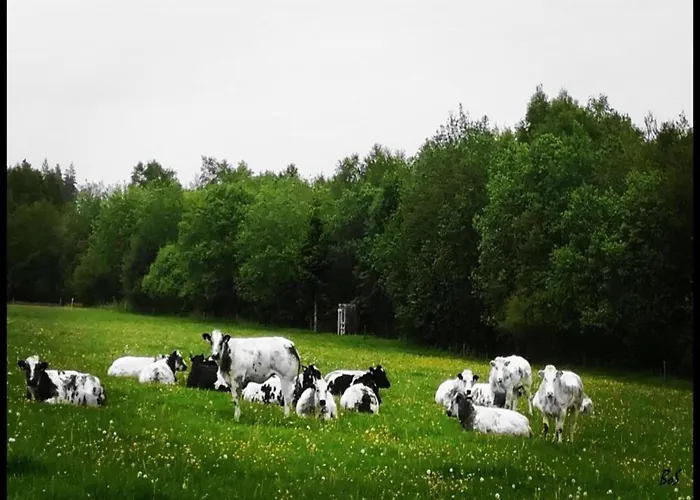 Malmedy Luxe Retreat &