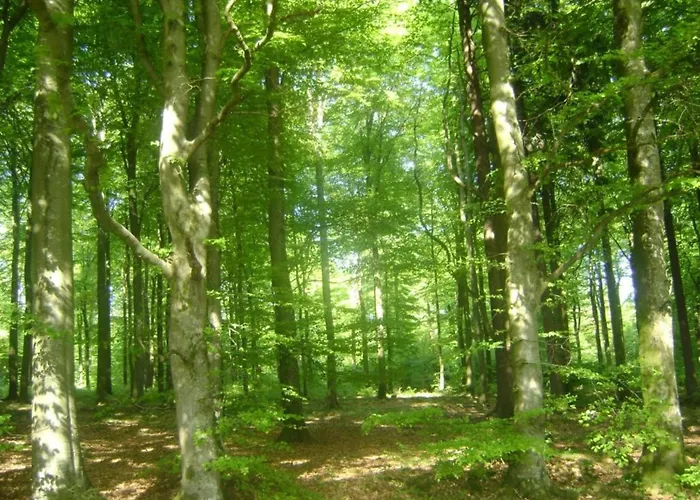 Malmedy Luxe Retreat & Vakantiehuis *